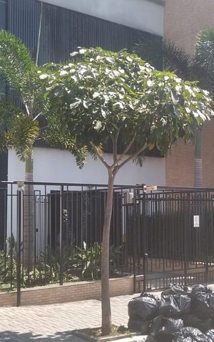 Apartamento para alugar com 39m², 1 quarto e 1 vaga Apartamento para alugar com 39m², 1 quarto e 1 vagaFachada