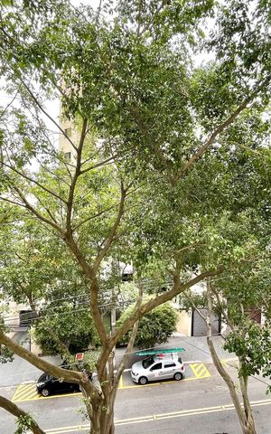 Apartamento à venda com 68m², 3 quartos e 1 vaga Apartamento à venda com 68m², 3 quartos e 1 vagaVista da Suíte