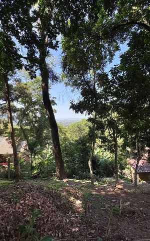 Casa de condomínio à venda com 135m², 2 quartos e 4 vagas Casa de condomínio à venda com 135m², 2 quartos e 4 vagasÁrea externa