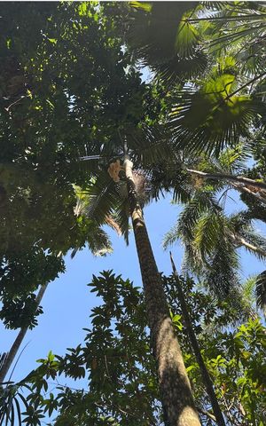 Casa à venda com 391m², 5 quartos e 3 vagas Casa à venda com 391m², 5 quartos e 3 vagasÁrea comum