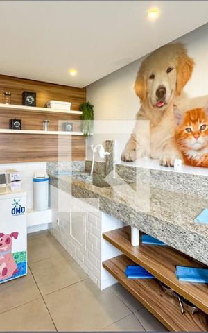 Apartamento para alugar com 30m², 1 quarto e sem vaga Apartamento para alugar com 30m², 1 quarto e sem vagaÁrea comum