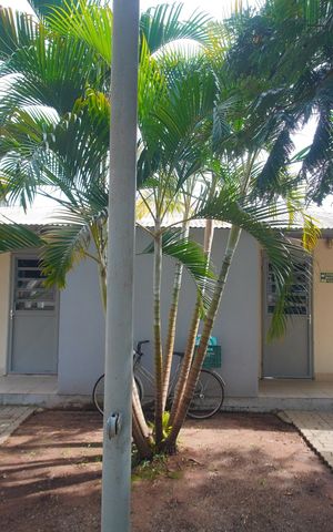 Apartamento à venda com 50m², 2 quartos e 1 vagaÁrea comum - Salão de festas
