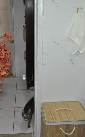 Apartamento à venda com 75m², 2 quartos e 1 vagaBanheiro Social