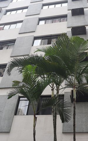 Apartamento para alugar com 62m², 2 quartos e sem vagaFachada