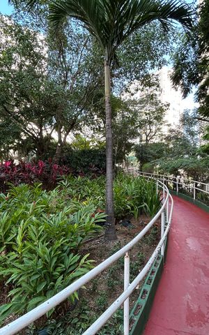 Apartamento para alugar com 52m², 2 quartos e 1 vagaÁrea comum