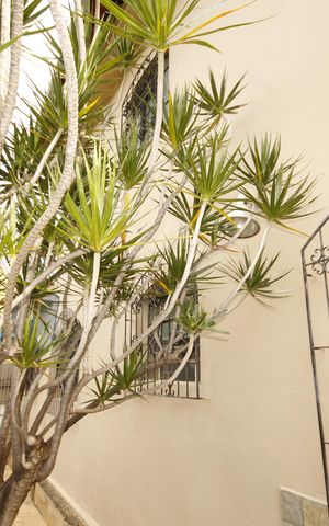 Casa à venda com 252m², 4 quartos e 3 vagasÁrea comum