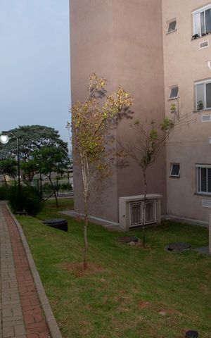 Apartamento à venda com 40m², 2 quartos e 1 vagaÁrea comum