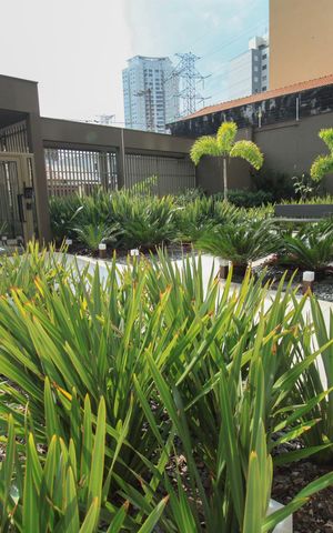 Apartamento à venda com 69m², 2 quartos e 2 vagas Apartamento à venda com 69m², 2 quartos e 2 vagasÁrea comum