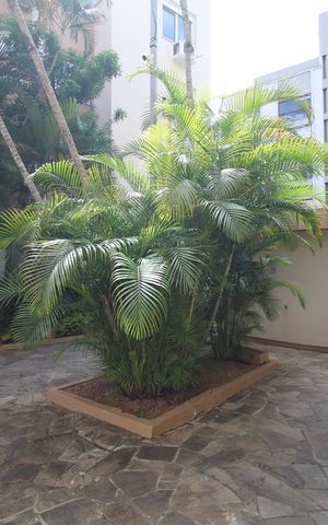 Apartamento para alugar com 37m², 0 quarto e sem vagaÁrea comum