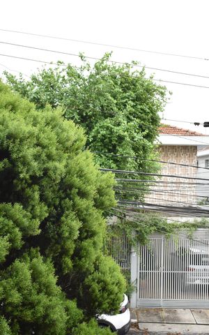 Casa para alugar com 240m², 3 quartos e 4 vagasVista do Quarto 2