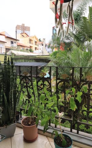Casa à venda com 660m², 3 quartos e 6 vagasSacada 3