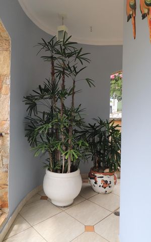Casa à venda com 660m², 3 quartos e 6 vagasSacada