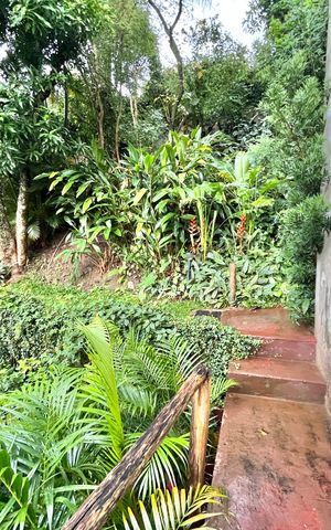 Casa à venda com 350m², 3 quartos e 6 vagas Casa à venda com 350m², 3 quartos e 6 vagasQuintal/Jardim