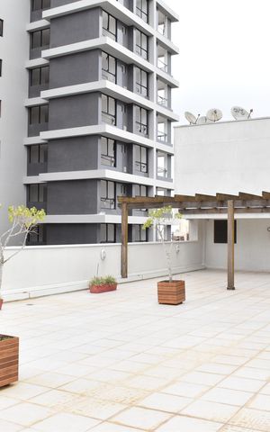 Studio para alugar com 28m², 1 quarto e 1 vagaTerraço