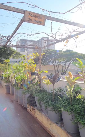 Casa à venda com 205m², 3 quartos e 1 vagaEspaço Gourmet