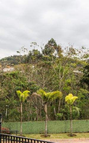 Apartamento à venda com 139m², 3 quartos e 2 vagasÁrea comum