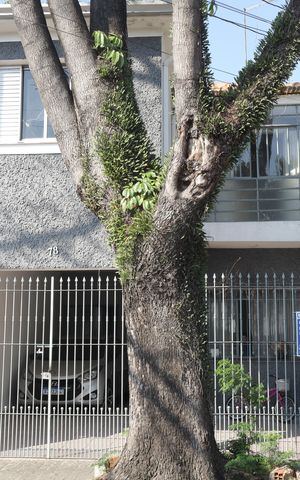 Casa à venda com 210m², 3 quartos e 2 vagasFachada