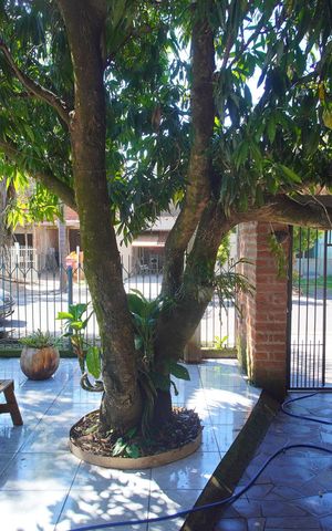 Casa à venda com 150m², 3 quartos e 1 vagaVista da Sala