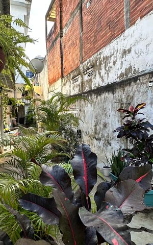 Casa de condomínio para alugar com 70m², 1 quarto e 1 vagaÁrea externa