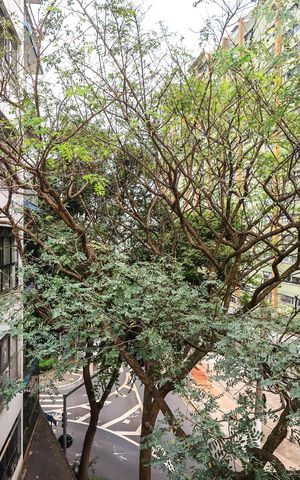Apartamento para alugar com 75m², 2 quartos e 1 vagaÁrea de Serviço