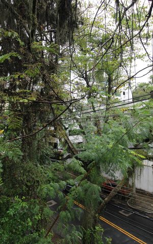 Casa à venda com 1200m², 4 quartos e 3 vagasQuintal