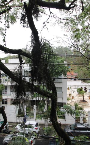 Casa à venda com 1200m², 4 quartos e 3 vagasSala - Varanda