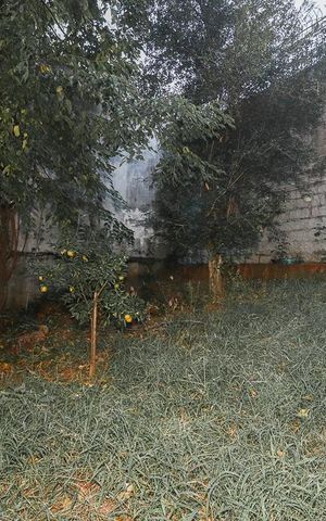 Apartamento à venda com 38m², 1 quarto e 1 vagaÁrea comum