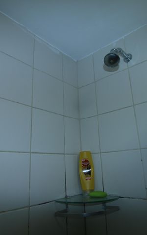 Apartamento para alugar com 67m², 2 quartos e 1 vagaBanheiro Social