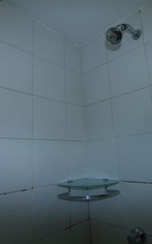 Apartamento para alugar com 67m², 2 quartos e 1 vagaBanheiro da Suíte