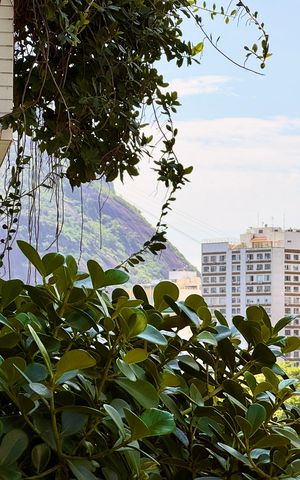 Apartamento para alugar com 79m², 2 quartos e 1 vaga Apartamento para alugar com 79m², 2 quartos e 1 vagaVista Varanda