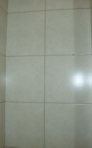 Casa para alugar com 72m², 2 quartos e sem vagaBanheiro Social