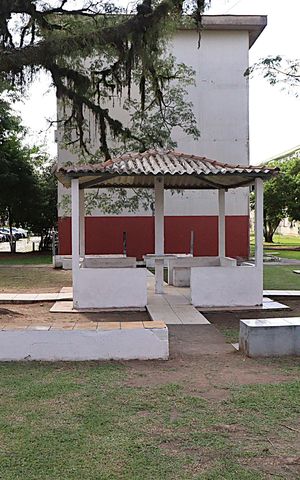 Apartamento à venda com 80m², 3 quartos e 2 vagasÁrea comum - Playground