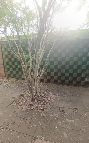 Casa de condomínio para alugar com 234m², 3 quartos e 4 vagas