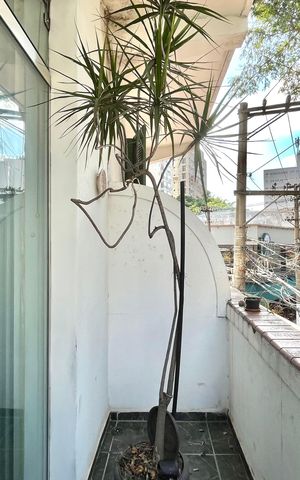 Apartamento à venda com 100m², 2 quartos e sem vagaVaranda/Quarto 