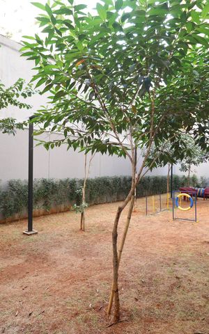Apartamento à venda com 32m², 1 quarto e sem vagaÁrea comum