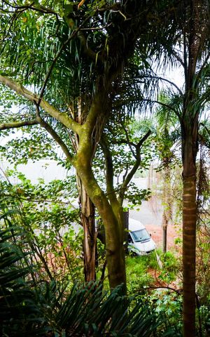 Apartamento para alugar com 45m², 2 quartos e 1 vagaVista da Sala