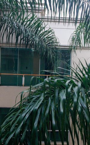 Apartamento à venda com 80m², 2 quartos e 1 vagaVista da Varanda