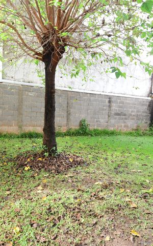 Casa à venda com 111m², 3 quartos e 4 vagasVista da Suíte