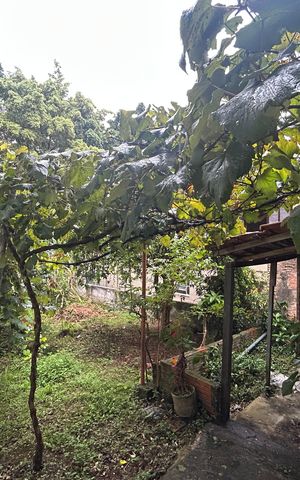 Casa à venda com 273m², 5 quartos e 4 vagas Casa à venda com 273m², 5 quartos e 4 vagasÁrea comum