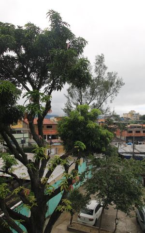 Apartamento à venda com 77m², 2 quartos e 1 vagaVaranda - Vista