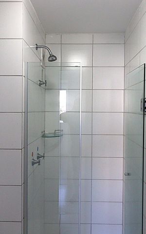 Apartamento à venda com 57m², 2 quartos e 1 vagaBanheiro social 