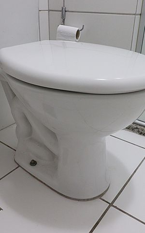 Apartamento à venda com 57m², 2 quartos e 1 vagaBanheiro social 