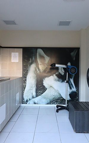 Apartamento à venda com 57m², 2 quartos e 1 vagaÁrea comum - pet banho e tosa