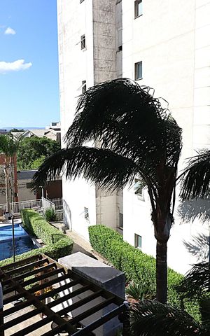 Apartamento à venda com 57m², 2 quartos e 1 vagaVista da Área de Serviço