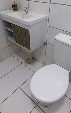 Apartamento à venda com 57m², 2 quartos e 1 vagaBanheiro social 