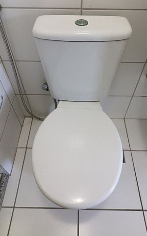 Apartamento à venda com 57m², 2 quartos e 1 vagaBanheiro da Suíte