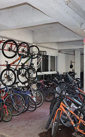 Apartamento à venda com 57m², 2 quartos e 1 vagaÁrea comum