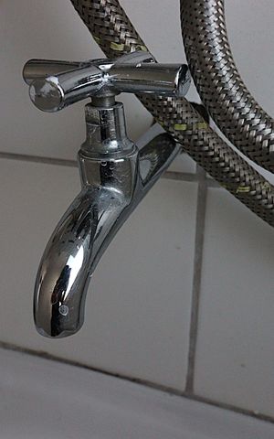 Apartamento à venda com 57m², 2 quartos e 1 vagaÁrea de Serviço - Torneira