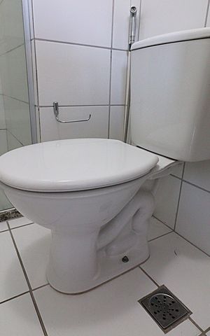 Apartamento à venda com 57m², 2 quartos e 1 vagaBanheiro da Suíte