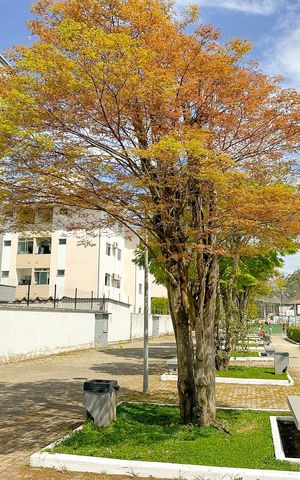 Apartamento para alugar com 53m², 2 quartos e 1 vagaPlaquinha